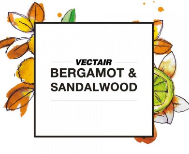 SET V-AIR® SOLID 6 x Duftnachfüllungen Bergamot & Sandalwood + Duftspender für ein außergewöhnliches Dufterlebnis 2