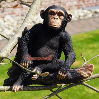 Affe Schimpanse auf Ast Figur Aufstellfigur Dekoration Deko Skulptur
