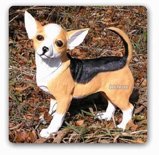 Chihuahua Hund als Dekofigur Figur Gartenfigur