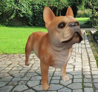 Gartenfigur Hund stehend. 55cm Französische Bulldogge 3405 braun lebensecht