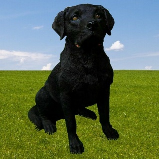 Figur LABRADOR Hund schwarz 52cm lebensecht handbemalt wetterfest Garten Deko