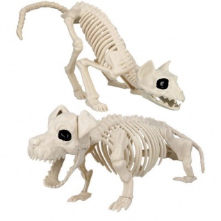 2er Set XXL Katze und Hunde Skelett - Tierskelett Halloween Horror Deko