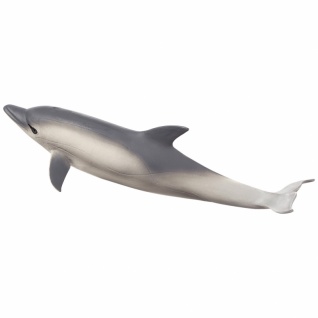 Animal Planet - Delfin