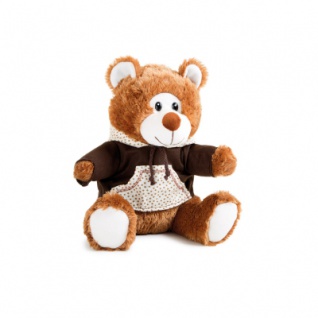 Teddybär mit Kapuzenpulli
