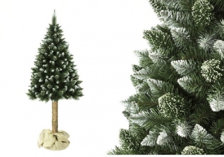 Weihnachtsbaum Kiefer 220 cm