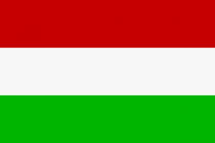 Fahne Grünheide Mark Hissflagge 90 x 150 cm Flagge 