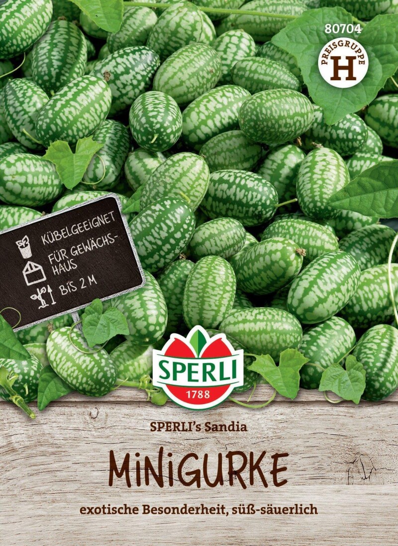 Minigurke SPERLI's Sandia, Snackgurke, für Gewächshaus und Freiland, Saatgut von Sperli