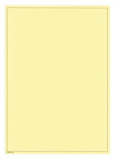 10 x LINDNER 805b Blanko Blätter Gelb DIN A4 Braune Umrandunsglinie 199 x 286 mm - ohne Lochung Format 291x297mm 1