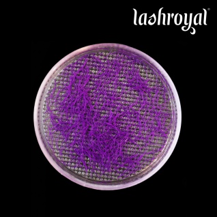 Lashroyal Synthetik PureLashes #purple