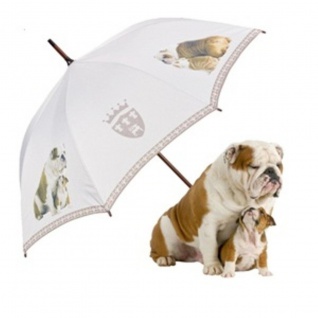 MySchirm Designer Regenschirm " Englische Bulldoggen" - Eleganter Stockschirm - Luxus Design - Automatikschirm