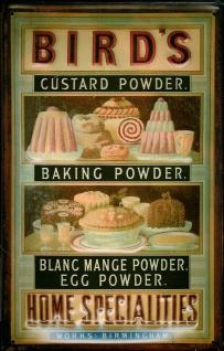 Blechschild Bird´s Home Specialities Baking Custard Powder Backpulver Vanille 