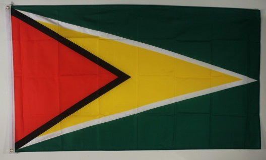 Flagge Fahne : Guyana Guyanaflagge Nationalflagge Nationalfahne
