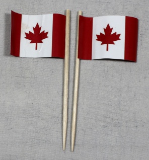 Party-Picker Flagge Kanada Papierfähnchen in Spitzenqualität 50 Stück Beutel