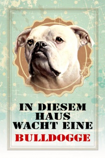 Französische Bulldogge Hund Dog Blechschild Schild gewölbt Tin Sign 20 x 30 cm 