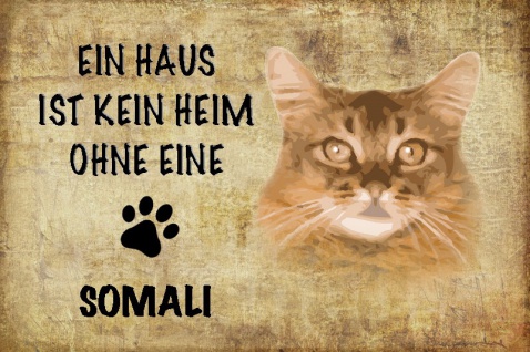 Katze: Ein Haus ist kein Heim ohne eine Somali Blechschild 20x30 cm