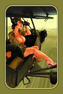 Pinup / pinup sexy frau military army pilotin flugzeug bomber blechschild