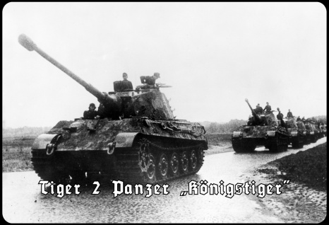 Blechschild Tiger 2 Panzer Königstiger Metallschild Wanddeko 20x30 tin sign