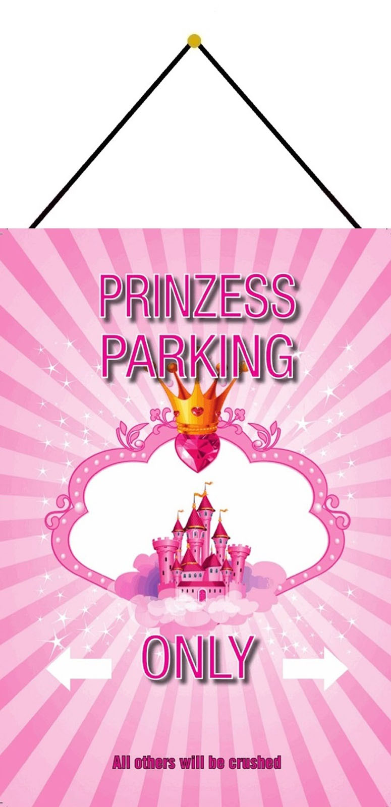 Blechschild Spruch Princess Parking only Metallschild Wanddeko 20x30 cm tin sig 