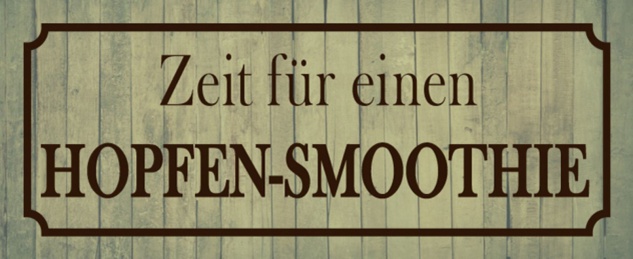 Blechschild Spruch Bier Zeit für ein Hopfen-Smoothie Metallschild 27x10 cm Wanddeko tin sign