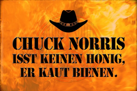 Blechschild Spruch Chuck Norris kein Honig Metallschild Deko 20x30cm tin sign 