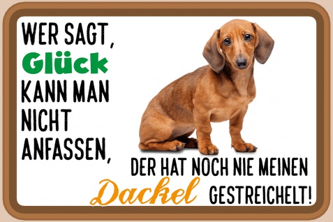 Blechschild Spruch Glück, Dackel Metallschild Wanddeko 20x30 cm tin sign