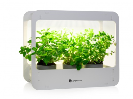 LED Minigewächshaus mit Vollspektrum Pflanzenlampe Wachstumslampe Samen Anzucht
