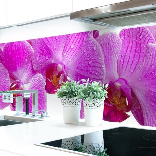Küchenrückwand Orchideen Blüte Premium Hart-PVC 0, 4 mm selbstklebend - Direkt auf die Fliesen