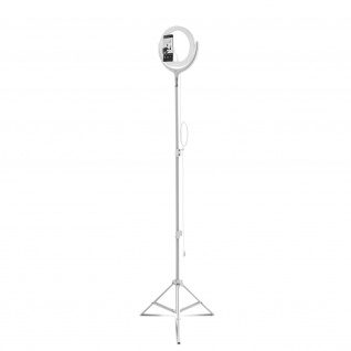 Selfie Ringlicht LoomiPod Stehlampe für Smartphones, 4Smarts Weiß