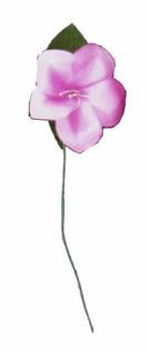 2422 Rosa Ehrenpreis,  Blüte mit Blatt, an Draht... - Vorschau 