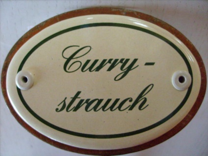 Kräuterschild Kräuterstecker Pflanzschild Emaille Emailschild Currystrauch 25cm