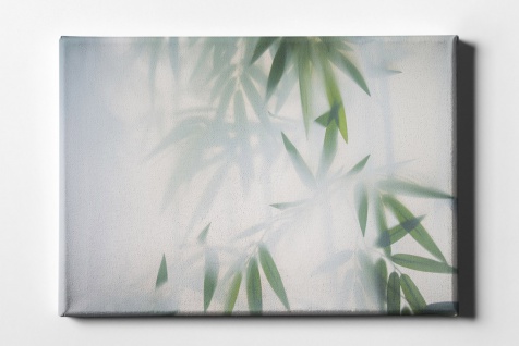 Bambusblätter im Nebel Leinwand L0159