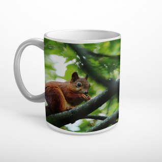 Eichhörnchen Nuss Baum Natur Tasse T2008