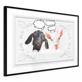 Poster - Conversation of Two Goats 30x20 cm